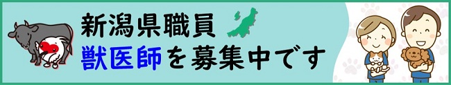 獣医師募集中