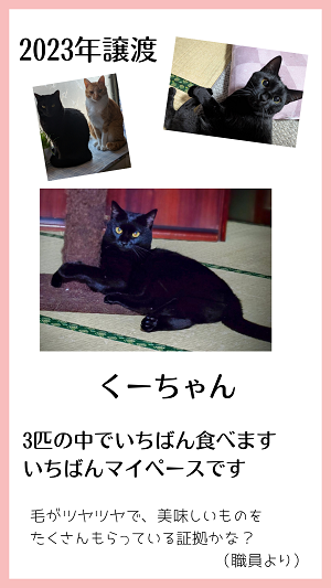 くー