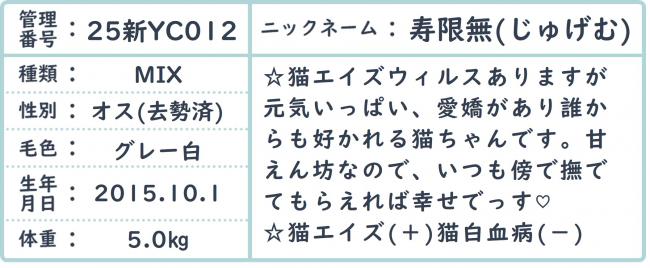じゅげむ