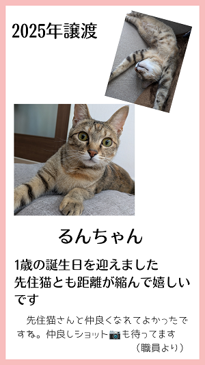 るん