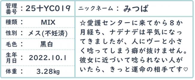 みつ