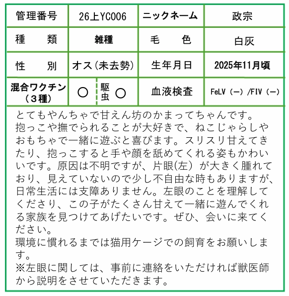 HP用ポップ(26上YC0006政宗)