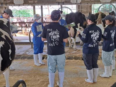 乳牛の見方の説明