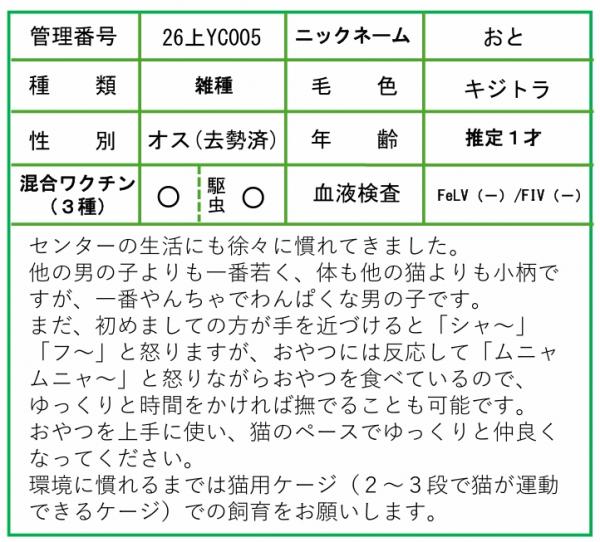 HP用ポップ（26上YC0005おと） (2)