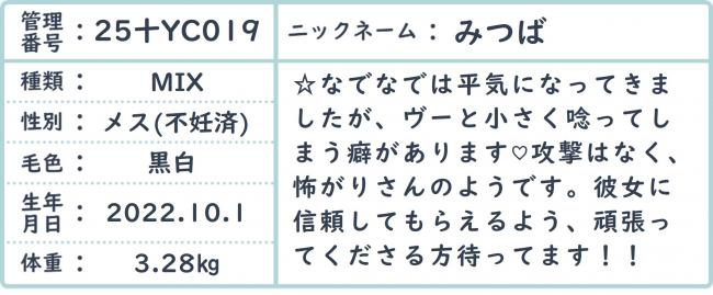 みつ