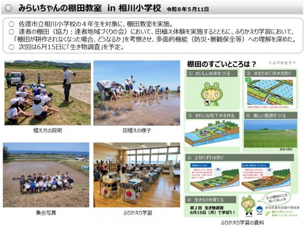 速報版