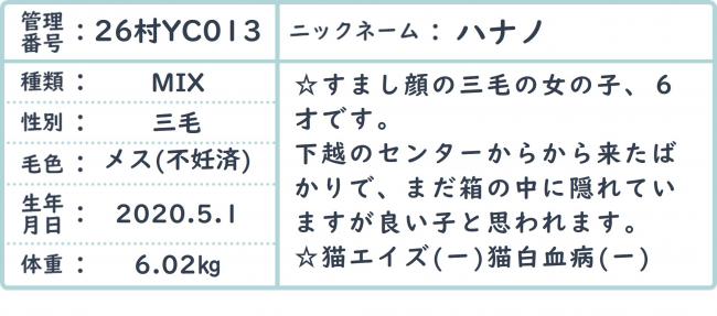 はなの