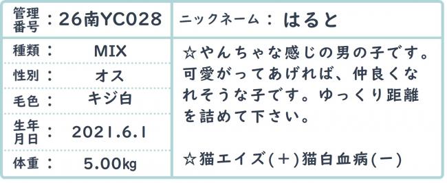 はると