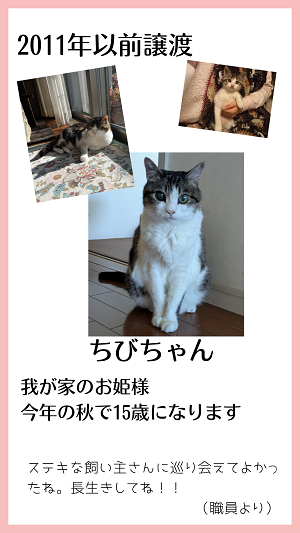 ちび