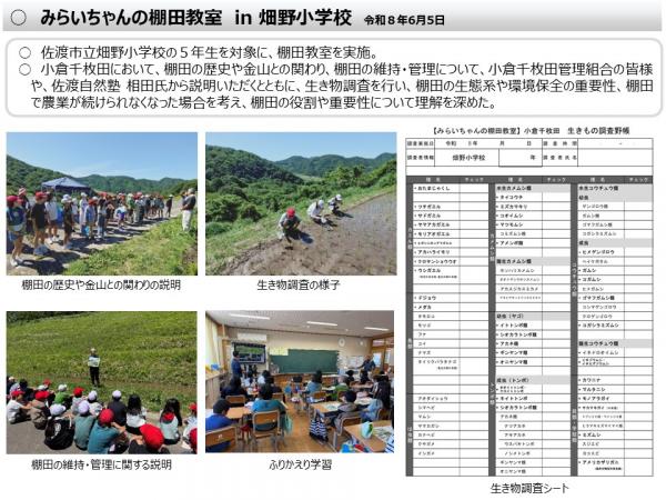 速報版