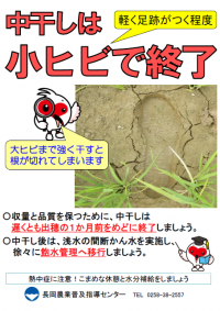 【中干し終了のめやす】