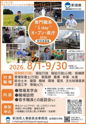チラシ表面