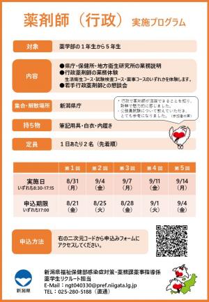 チラシ裏面