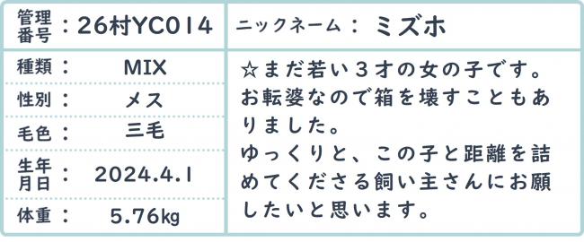 ミズホ