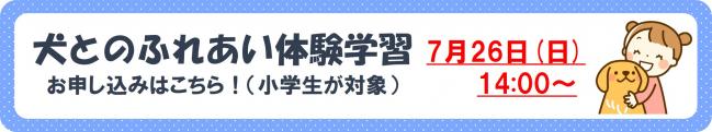 犬ふれあい