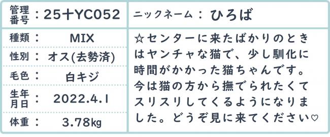 ひろば