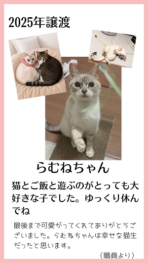 らむね