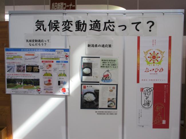 気候変動適応って？