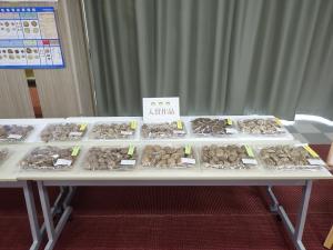 入賞作品の展示