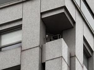 バルコニーにとまるハヤブサ