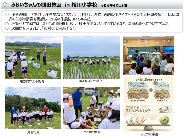 速報版
