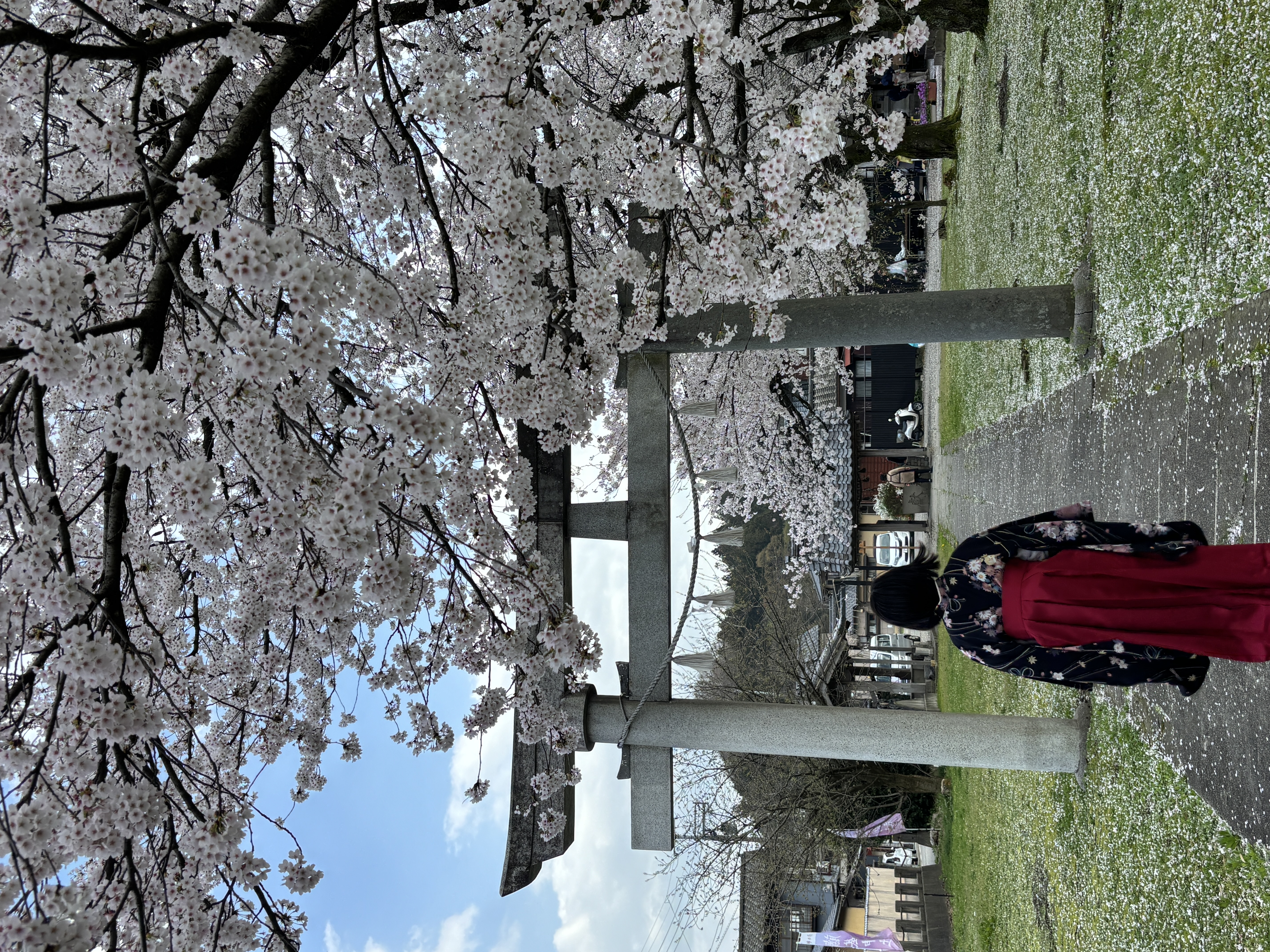 春の部4