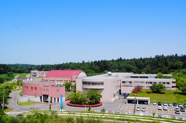 新潟産業大学