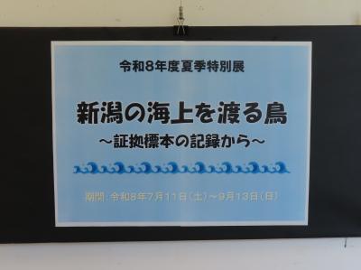夏季特別展の画像1