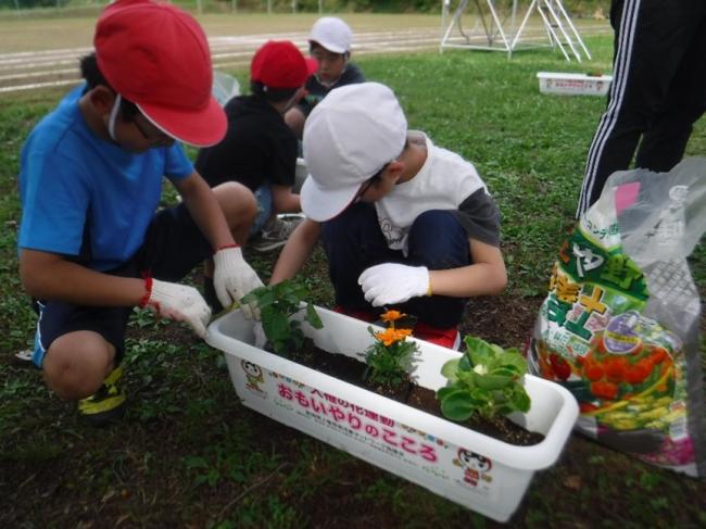 人権の花運動の様子(植えているところ)