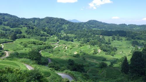 十日町地域振興局管内の棚田