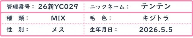 テンテン