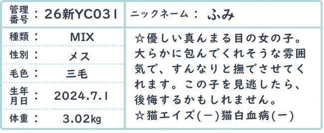 ふみ