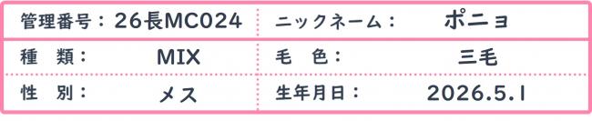 ぽにょ