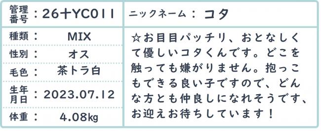 こた