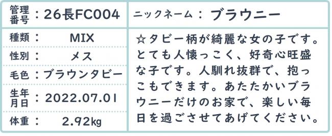 ブラウニー