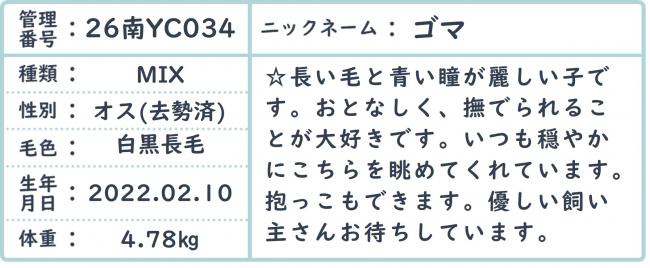 ごま
