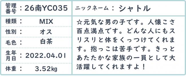 シャトル