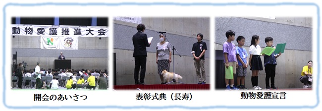 フェス(推進大会)