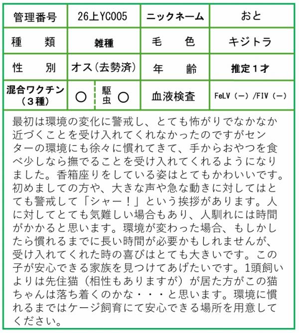 HP用ポップ(26上YC0005おと)-3