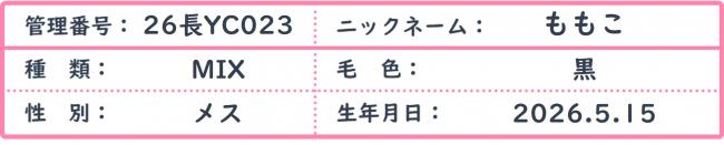 ももこ