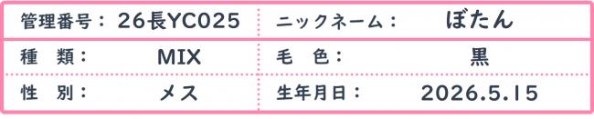 ぼたん