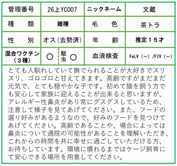 HP用ポップ(26上YC0007文蔵)