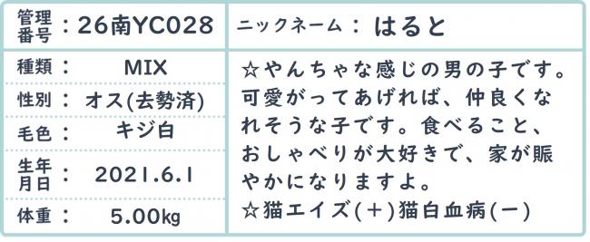 はると