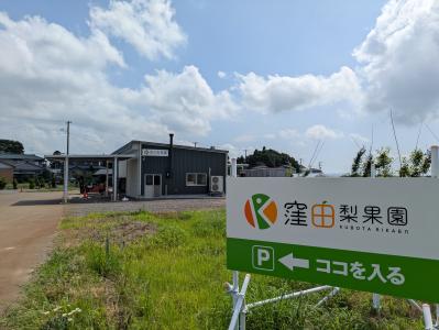 窪田梨果園