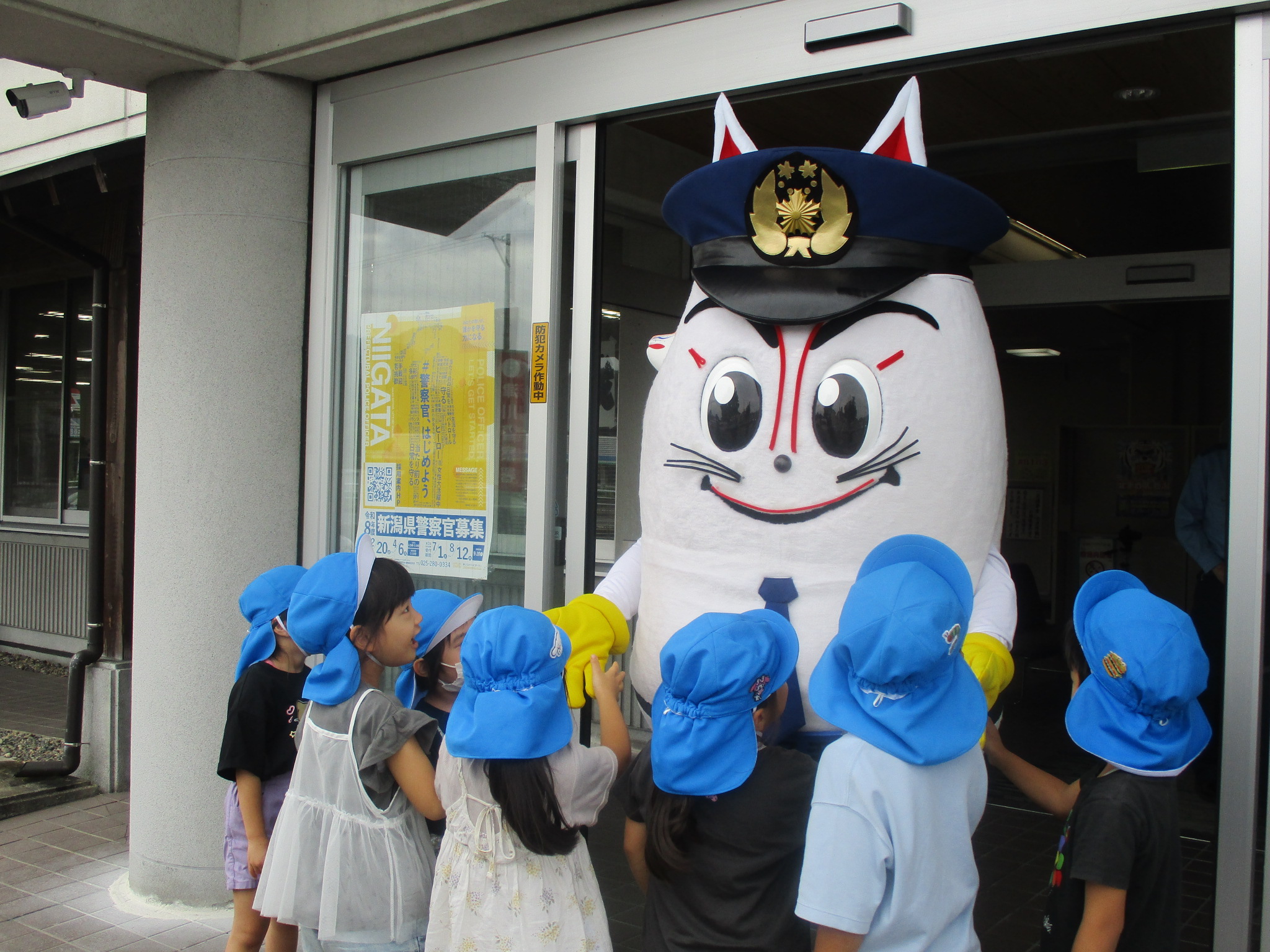 きつねひかるくん写真