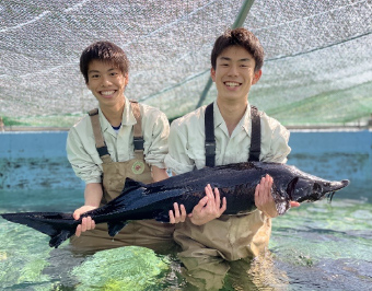 高校生の写真