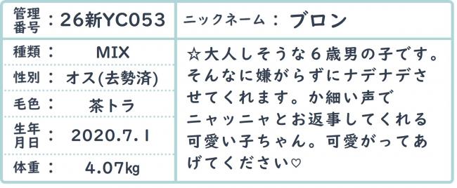 ぶろん