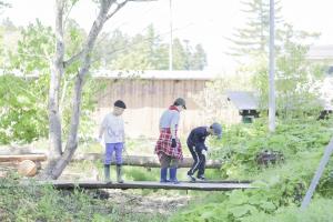 ちゃやの森7