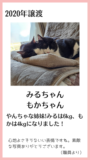 みるもか