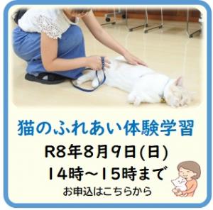 猫ふれあい体験